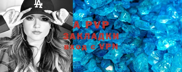 стафф Алексин