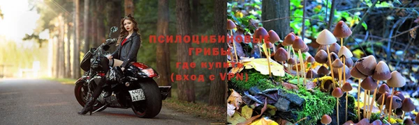 стафф Алексин